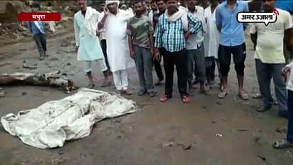 WOMEN DIES AFTER TREE FALLS ON HER IN MATURA 