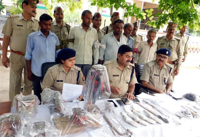  Police caught Illigal Gun factory, five arrested