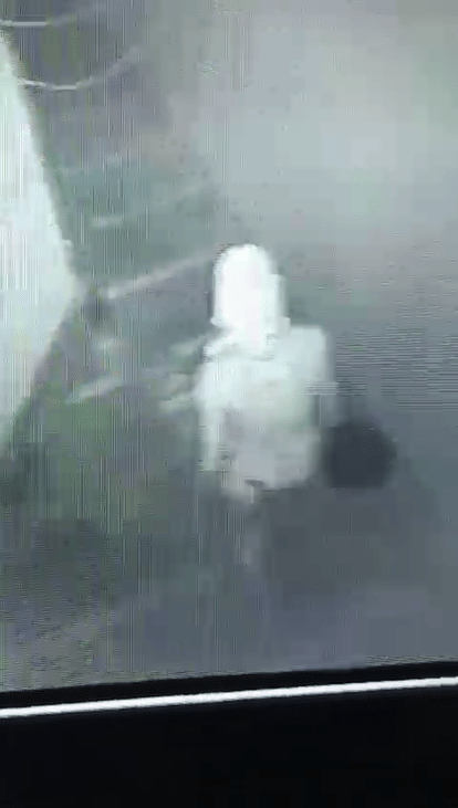 Terror of the Bust Vest Gang, Broke In The Merchant's House in jaipur