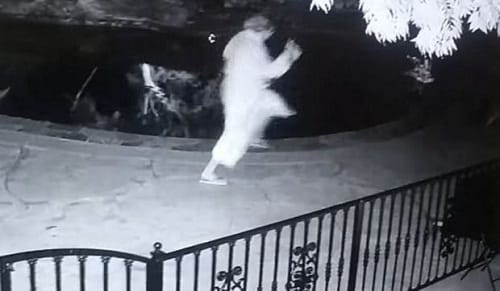 woman freaks out after picking rattlesnake mistaking it with dog toy 