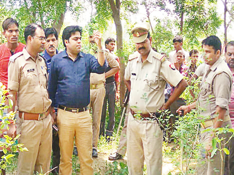 The villagers have planted the remains of cattle in the field.
