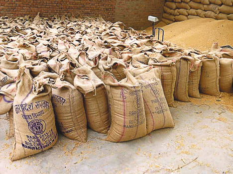 Wheat flour