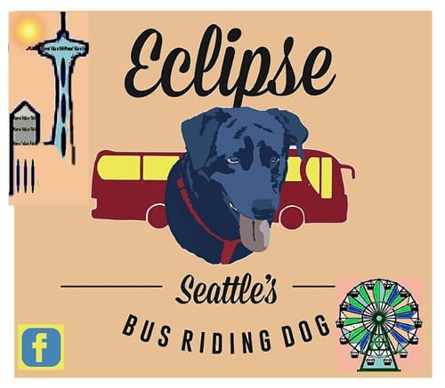 Seattle famous bus riding dog Eclipse is facebook craze now