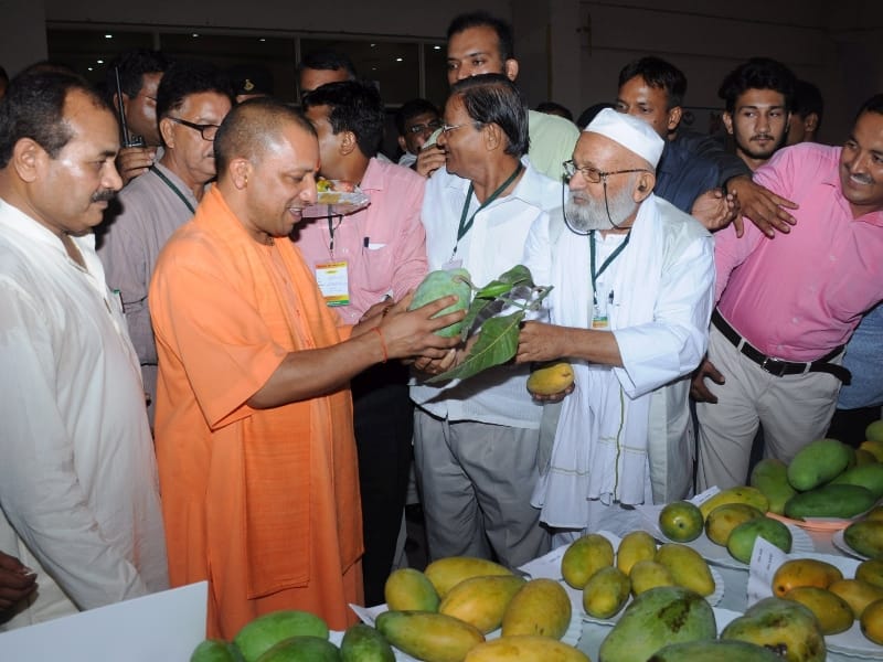 yogi adityanath in mango festival.