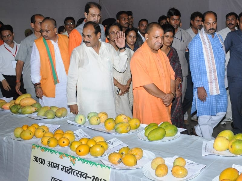 yogi adityanath in mango festival.