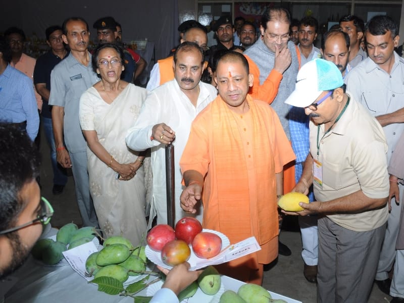 yogi adityanath in mango festival.
