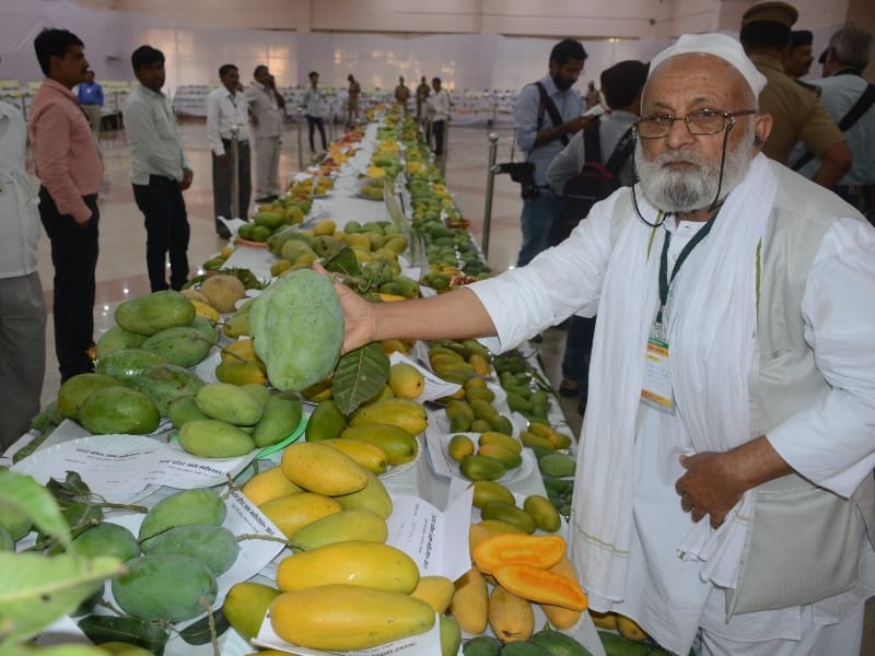 yogi adityanath in mango festival.