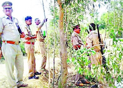 Youth's body found hanging from tree, not identified