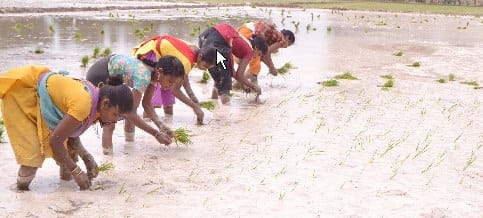 Increasing the hardships of farmers, delay in rainy season