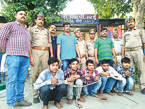 Five Vicious Thieves Arrested, 
