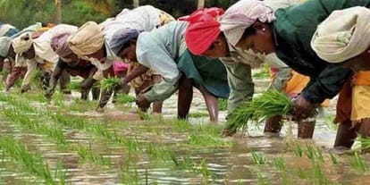 hundred days of yogi goverment relief to farmers 
