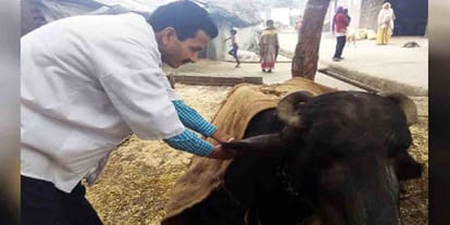 hundred days of yogi goverment relief to farmers 