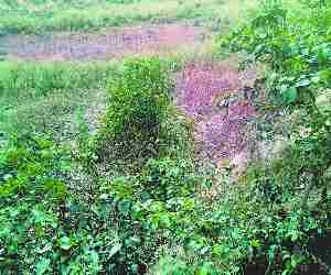 410 Adarsh Talab to be filled