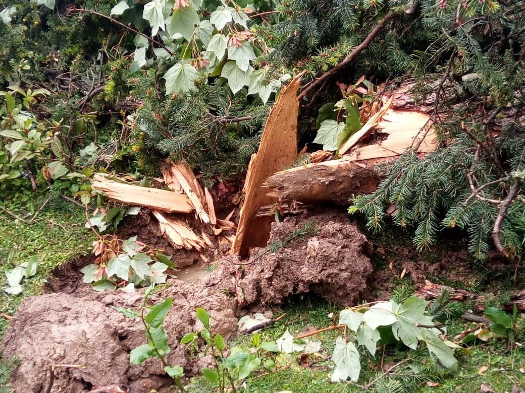 5 died in rope way accident in gulmar