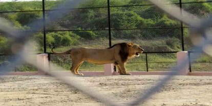 yogi adityanath new plan down to akhilesh yadav 