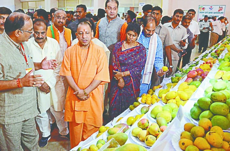 mango of the district was also in Lucknow