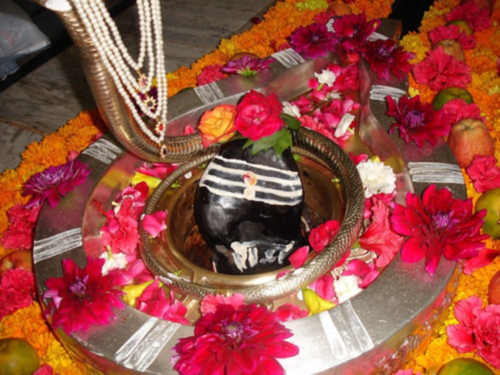 know pradosh vrat puja vidhi and importance
