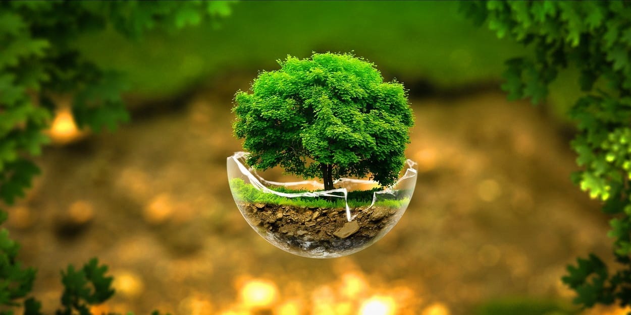 World earth day 2019 theme protect our species save your environment