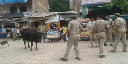 The bull entered into the prayer of Eidul Fitr