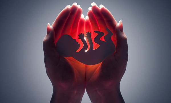  abortion at home, women and child died, ludhiana news
