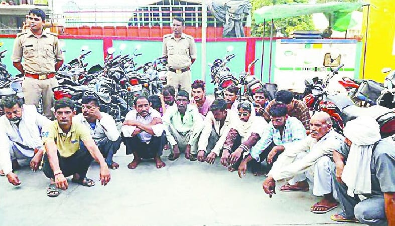 by speculating 16 people arrest Dove pigeons 