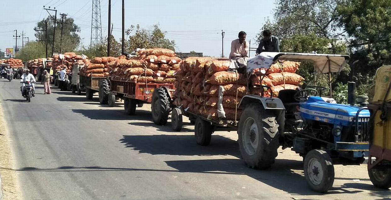 Where to get more price, there will be supply potatoes.
