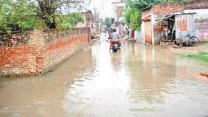 The city of Dubega will again rain