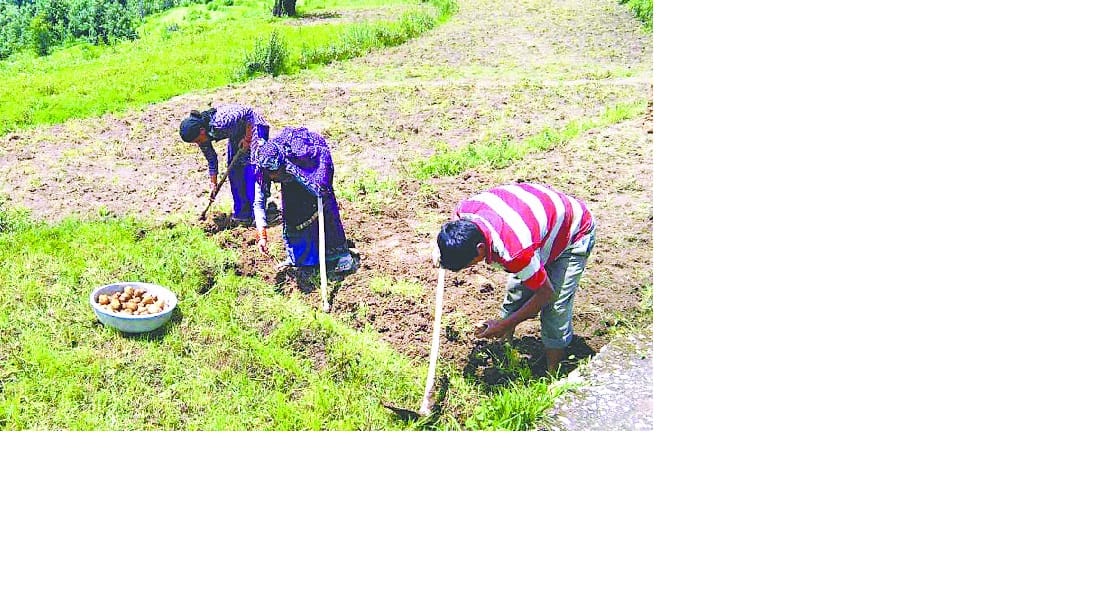 एटा- कासगंज के किसानों को सितंबर में मिलेगा किसानों को कर्जमाफी का लाभ