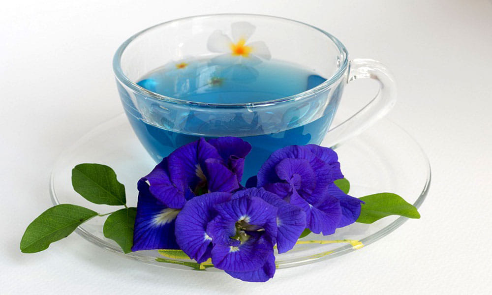 The health benefits of Butterfly pea flower beats green tea, know how to use it