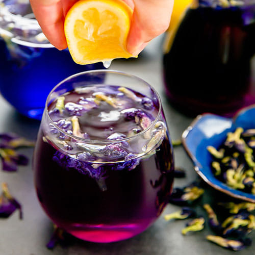 The health benefits of Butterfly pea flower beats green tea, know how to use it