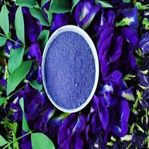 The health benefits of Butterfly pea flower beats green tea, know how to use it