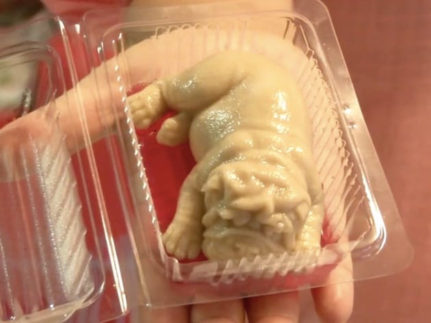 would you like to taste this Poop Shaped Pudding at Thailand Bakery 