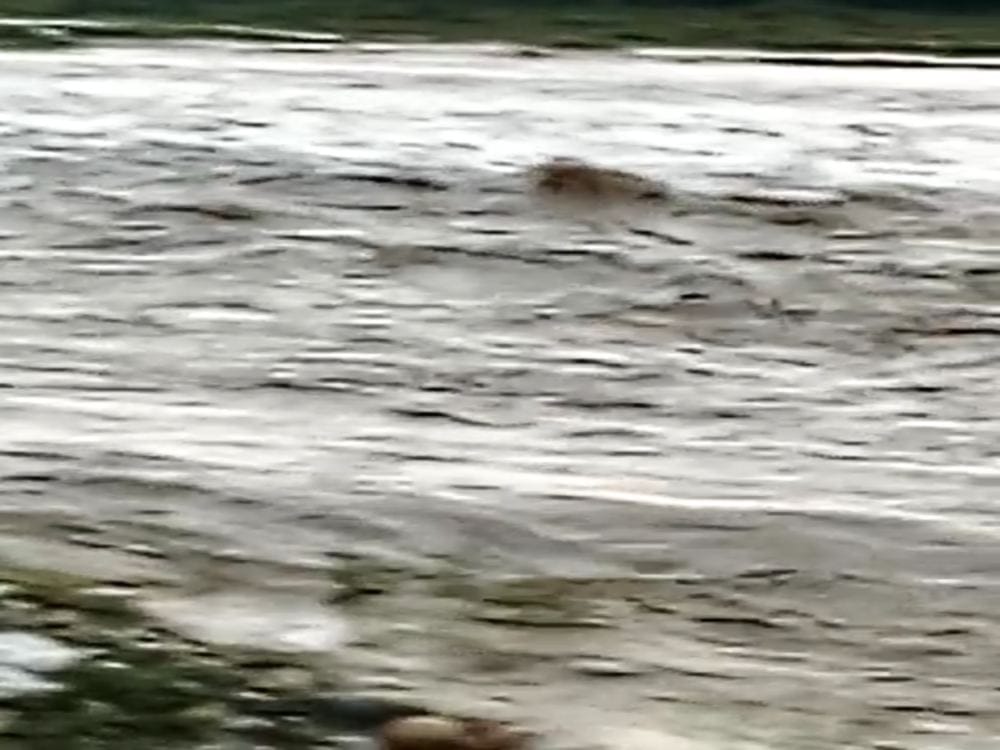 very heavy rain alert in all over uttarakhand