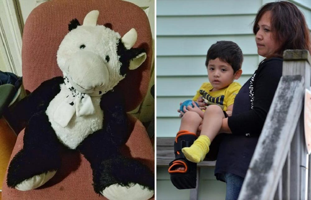 Stuffed cow toy saved 2 year old child life as he fell from window at Chelsea in Massachusetts
