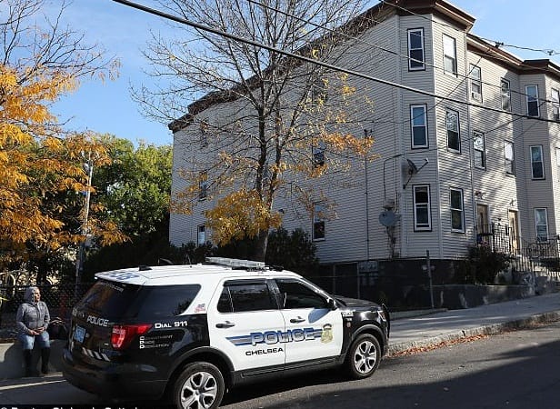 Stuffed cow toy saved 2 year old child life as he fell from window at Chelsea in Massachusetts