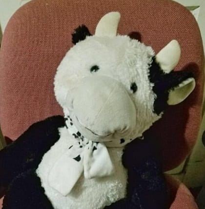 Stuffed cow toy saved 2 year old child life as he fell from window at Chelsea in Massachusetts