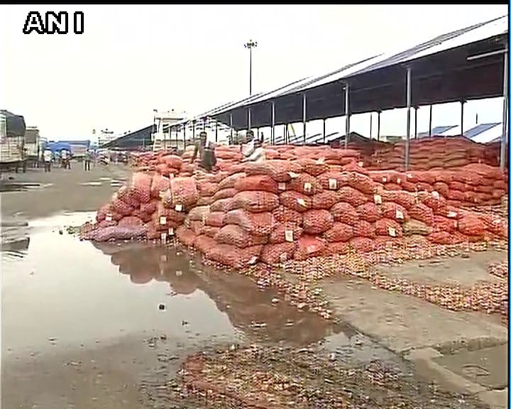 Madhya Pradesh: 8000 metric tonnes of Onions lying in the open for last 17 days