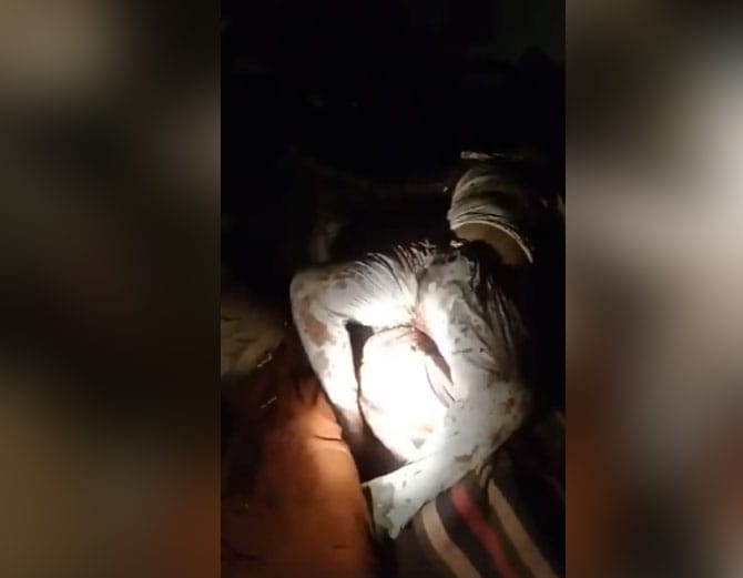 ambala cantt double murder, retired army man and wife killed