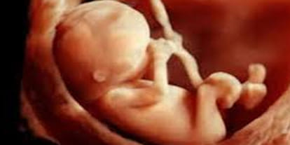 pregnant woman beaten miscarriage foetus of seven month 