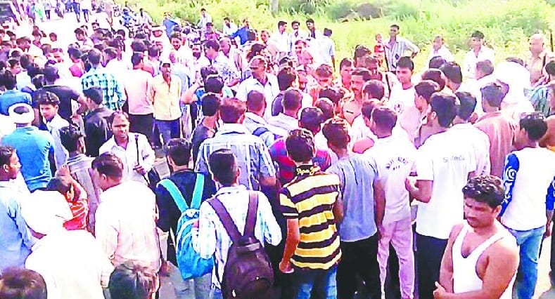 Four cows found dead on highway, jam and commotion