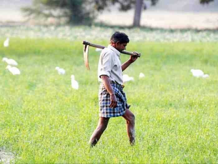 haryana govt changed farmers land acquisition rules
