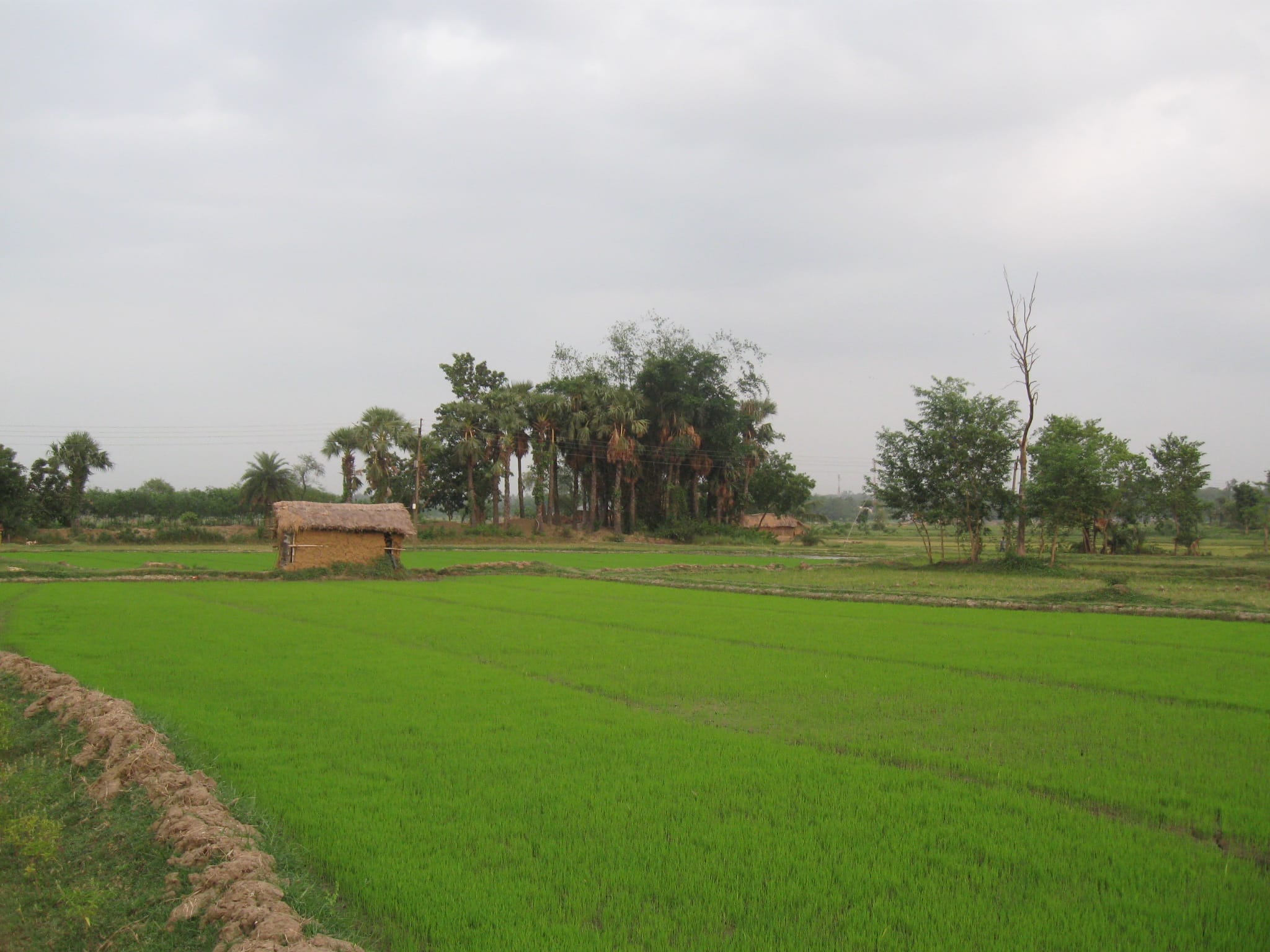 haryana govt changed farmers land acquisition rules