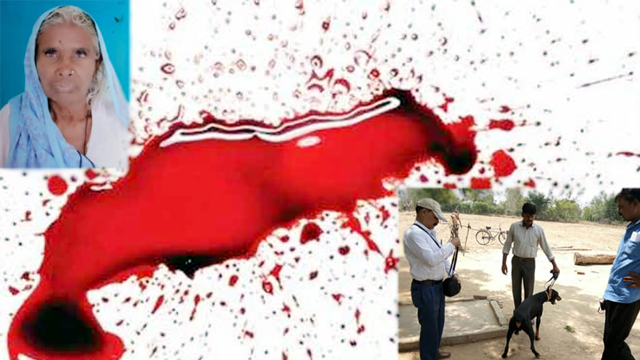 boy killed his mother in unnao
