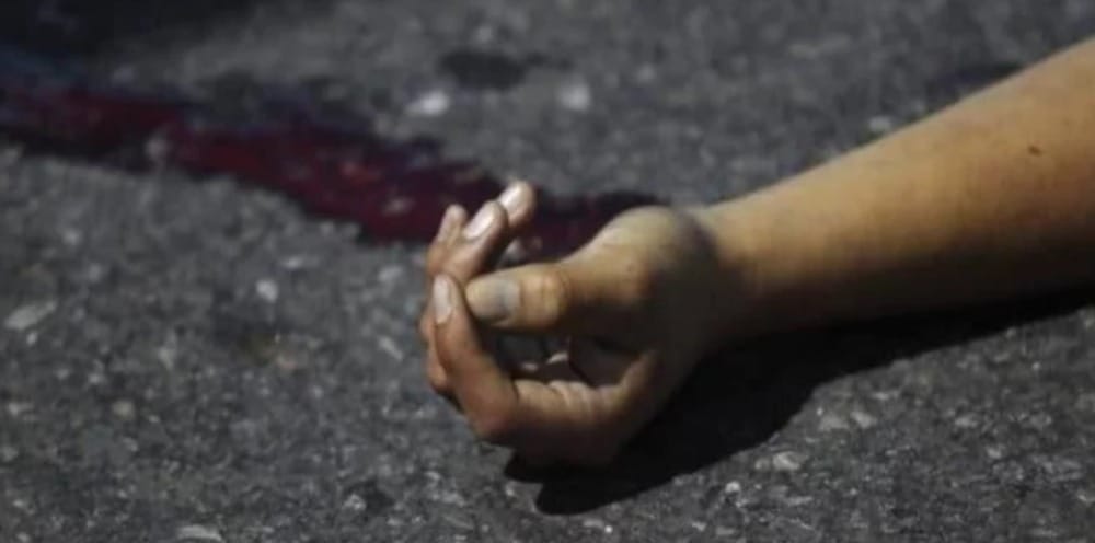 rohtak father, son murder for land