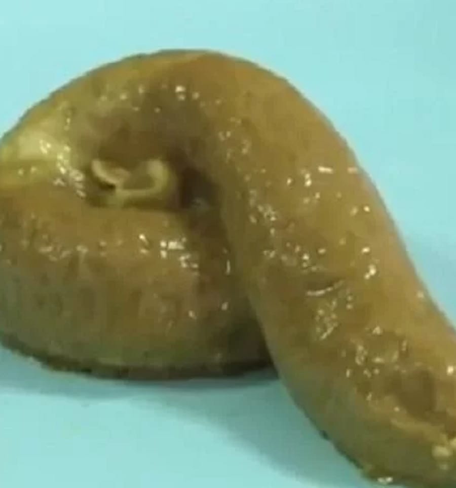 would you like to taste this Poop Shaped Pudding at Thailand Bakery 