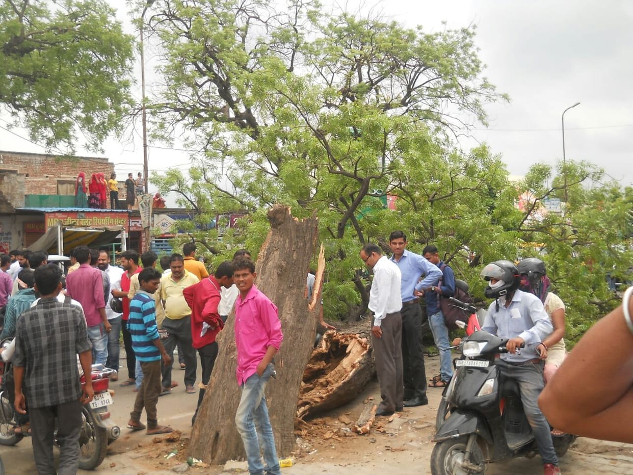 Tree Dropped , five injured and damaged vehicle in this incident