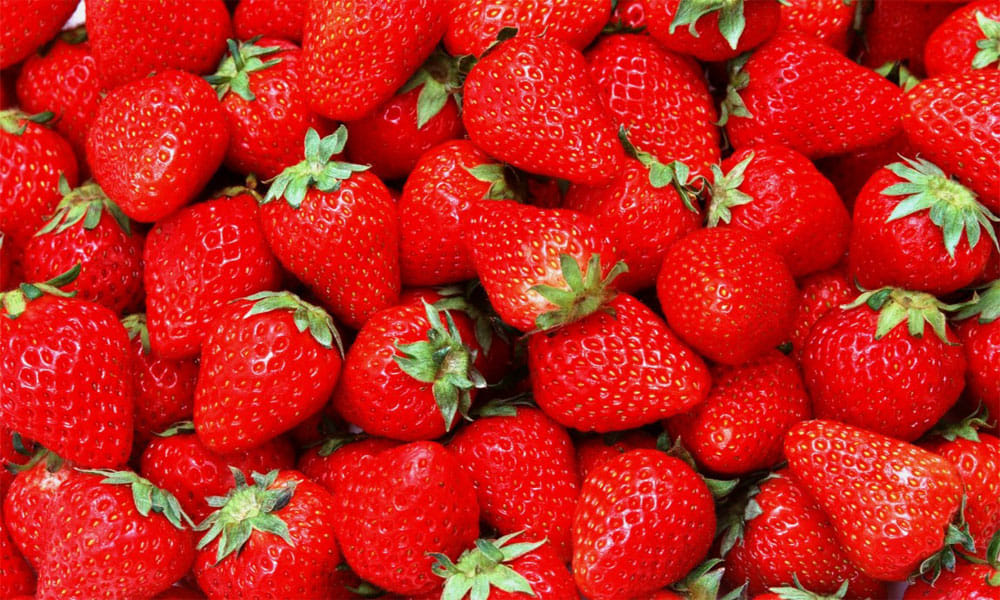 Punjab farmer Make money with Strawberry farming