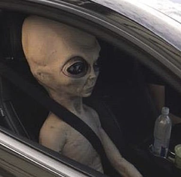 ALIEN LIKE DOLL FOUND IN SPEEDING CAR AT Alpharetta IN Georgia