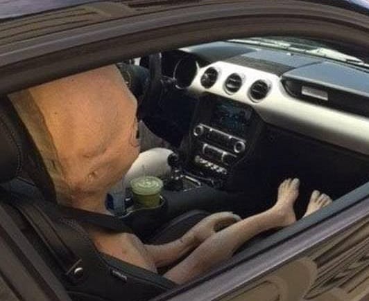ALIEN LIKE DOLL FOUND IN SPEEDING CAR AT Alpharetta IN Georgia