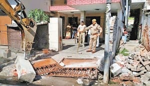 Capture removed, ground mafia made drama of self-destruction